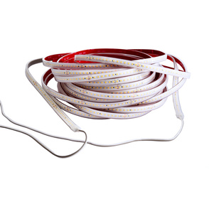 LED Stripes ab IP44 bei Elektro Kranz GmbH in Bosenbach